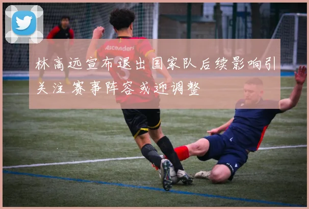 林高远宣布退出国家队后续影响引关注 赛事阵容或迎调整