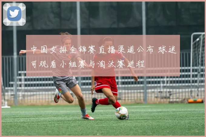 中国女排全锦赛直播渠道公布 球迷可观看小组赛与淘汰赛进程