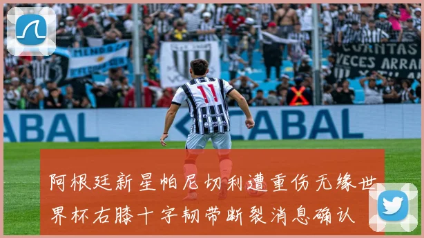 阿根廷新星帕尼切利遭重伤无缘世界杯右膝十字韧带断裂消息确认