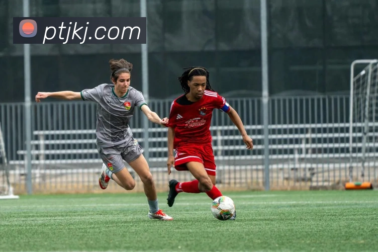 九游app在线入口平台生态图